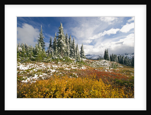 Autumn in the Cascades by Anonymous