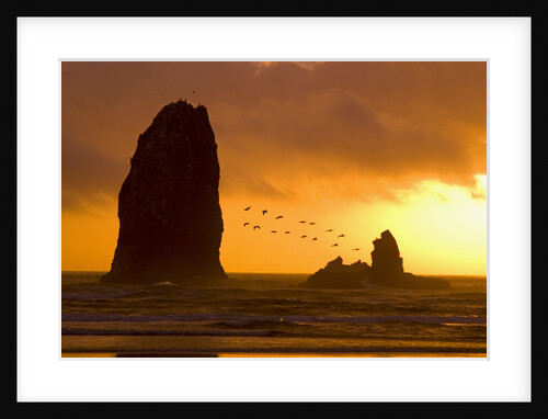 The Needles at Cannon Beach by Anonymous