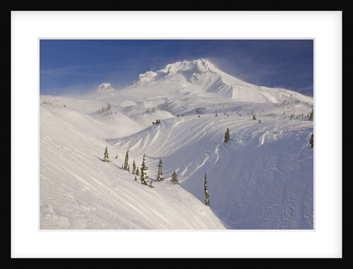 Fresh Snow on Mount Hood by Anonymous