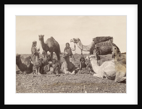 Bedouins Rest with Their Camels by Anonymous