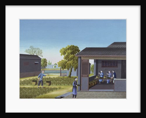 Early 19th-Century Chinese Painting of Tea-Picking by Anonymous