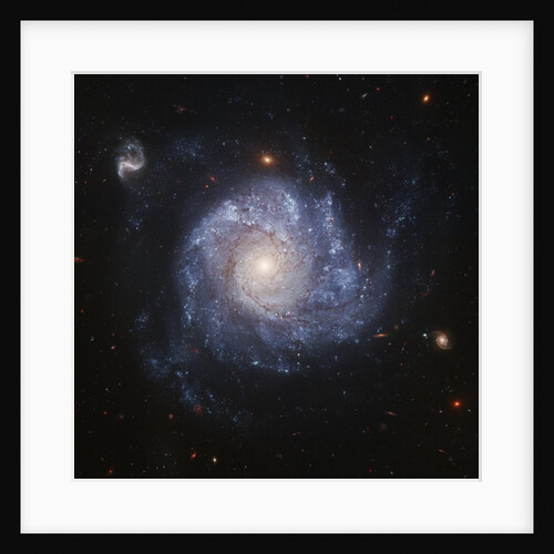 NGC 1309 Galaxy by Anonymous
