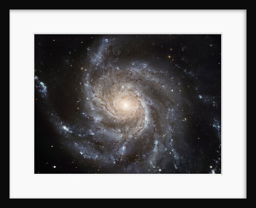 M101 Spiral Galaxy by Anonymous