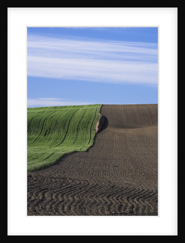 Wheat Field and Plowed Land by Anonymous