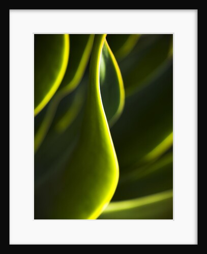Close up of fluorescent green lights by Anonymous