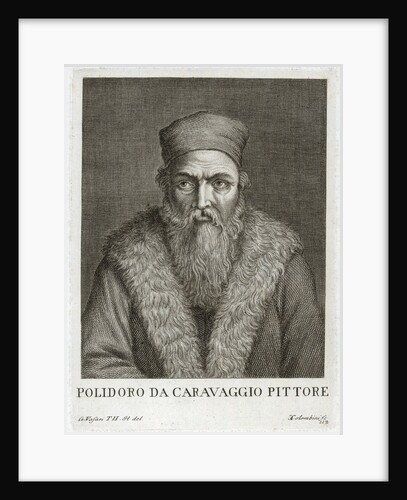 Portrait of Polidoro da Caravaggio by Anonymous