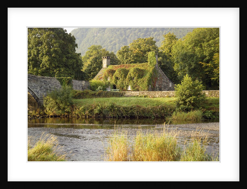 Vine-Covered Stone Cottage Near River Conwy by Anonymous