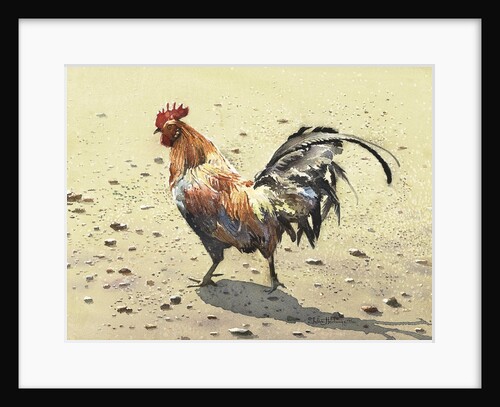 Banty Rooster by LaVere Hutchings