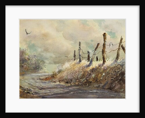 Posts in Sunshine by LaVere Hutchings