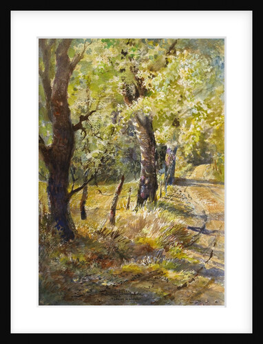 Spring at Dogtown by LaVere Hutchings