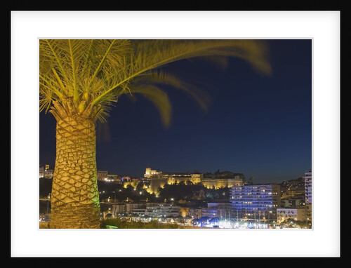 Skyline of Monte Carlo at Night by Anonymous