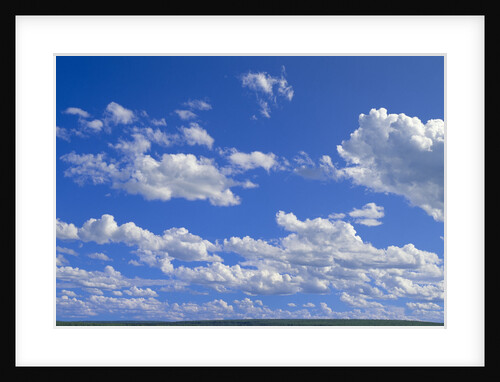 Cumulus Clouds Over Summer Tundra by Anonymous