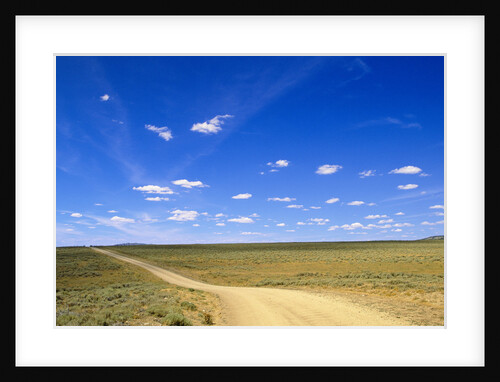 Blue Sky Above Ranch Road by Anonymous