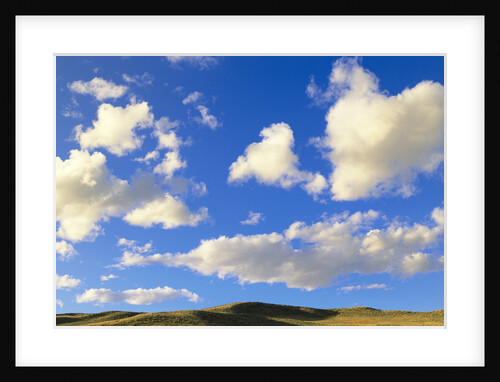 Cumulus Clouds Floating Above Prairie in the Fall by Anonymous