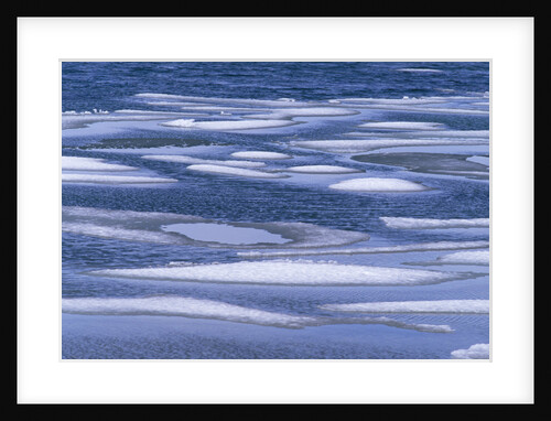 Melting Ice Floes by Anonymous