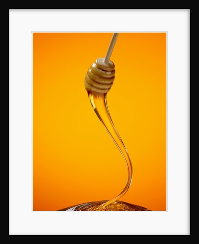 Honey Dipper by Anonymous