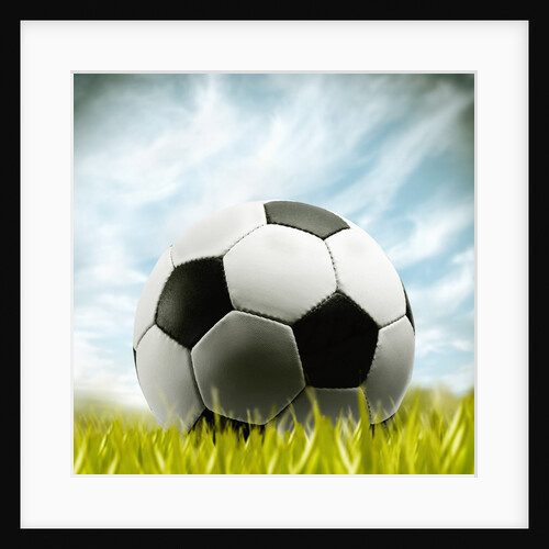 Soccer Ball Resting on Grass by Anonymous