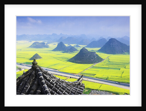 Rape Fields and Cone Hills by Anonymous