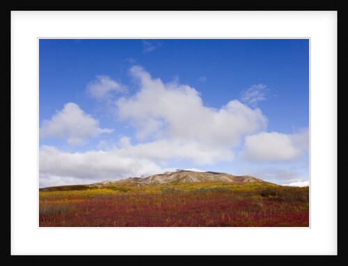 Mountain Range in Tundra Landscape by Anonymous