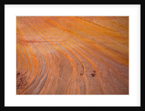 Grooves on Desert Rock by Anonymous
