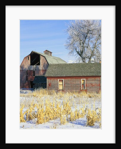 Barn in Winter by Anonymous