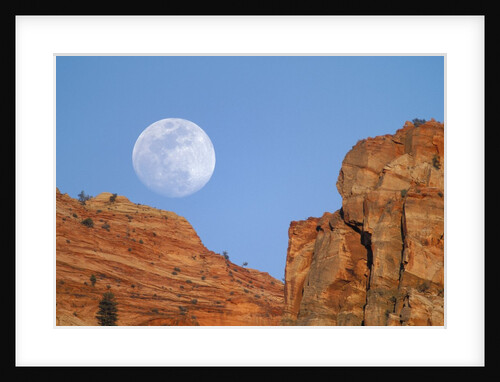 Moonrise at Zion National Park by Anonymous