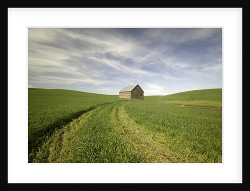 Old Barn in Wheat Field by Anonymous