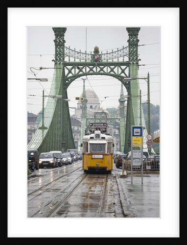 Tram on Elizabeth Bridge by Anonymous