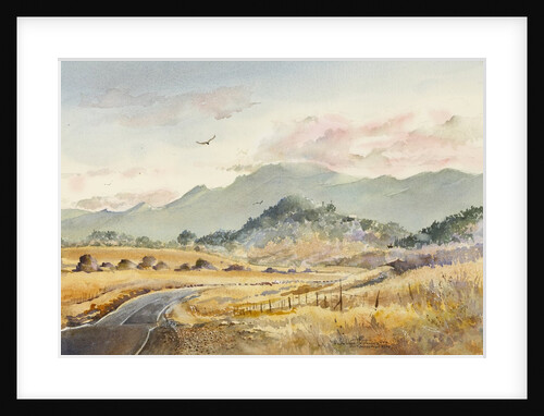 Jacksonville Road by LaVere Hutchings