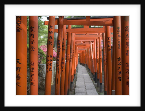 Red Arches Along Path to Nezu Shrine by Anonymous