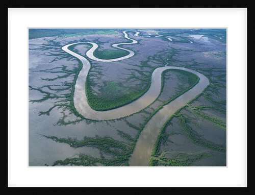 Meandering river in the Kimberley Region of Western Australia, aerial view by Anonymous