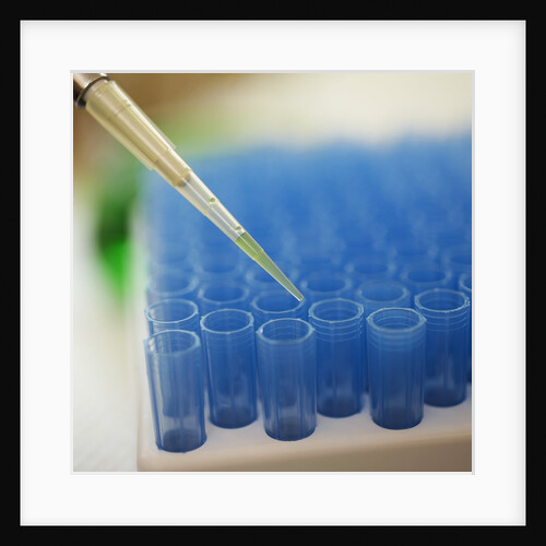 Test Tube Experiment by Anonymous