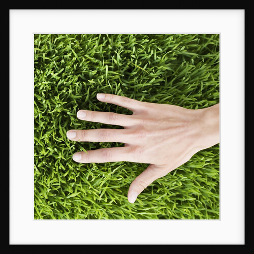 Woman Touching Grass by Anonymous