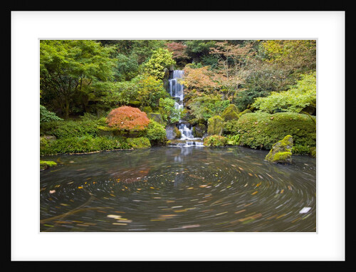 Swirling Pond Below Waterfall by Anonymous