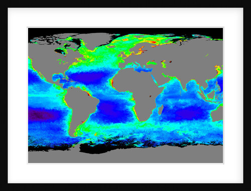 Global Chlorophyll Concentrations by Anonymous