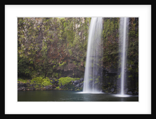 Whangarei Falls by Anonymous