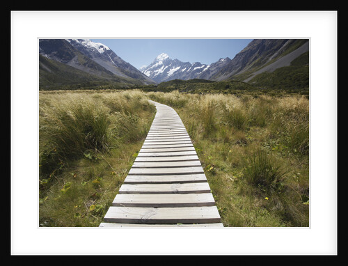 Wooden Path through Mount Cook National Park by Anonymous