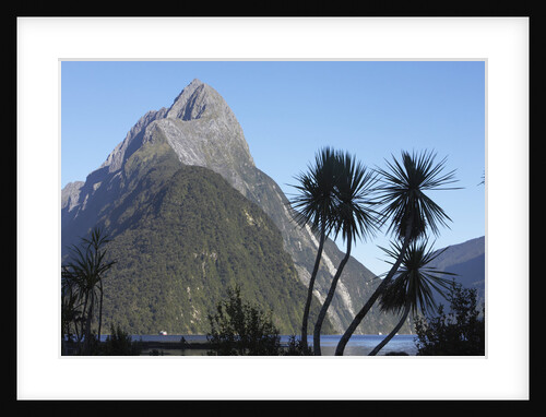 Mountains and Palm Trees Along Fjord by Anonymous