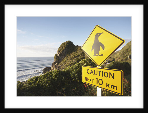 Penguin Crossing Sign by Anonymous