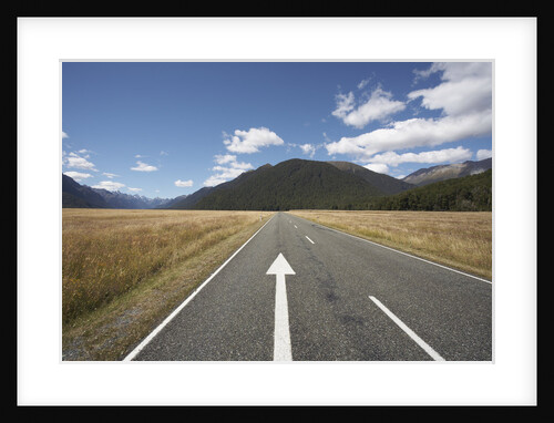Highway in Fiordland National Park by Anonymous
