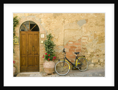 Bicycle Next to Flowers and Door by Anonymous