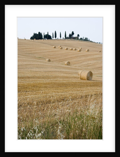 Bales of Hay on Tuscan Farm by Anonymous