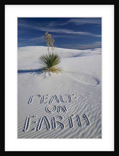 Peace On Earth Written in Sand by Anonymous
