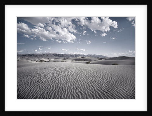 Sand Dunes by Anonymous