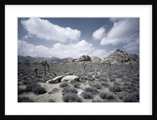 Scrubland and Rock Formations by Anonymous