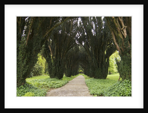 Woodstock Gardens and Arboretum by Anonymous