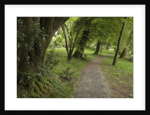 Woodstock Gardens and Arboretum by Anonymous