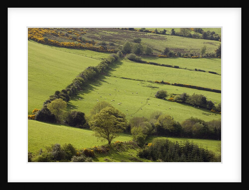 Countryside in County Wicklow by Anonymous