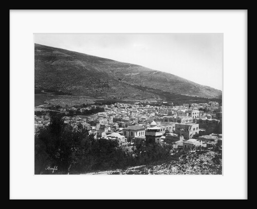 Overview of Palestine by Anonymous