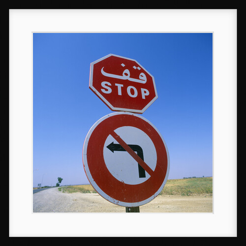 Stop and No Left Turn Signs by Anonymous